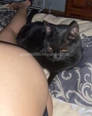 Анкета проститутки Снежана - метро Текстильщики, возраст - 23